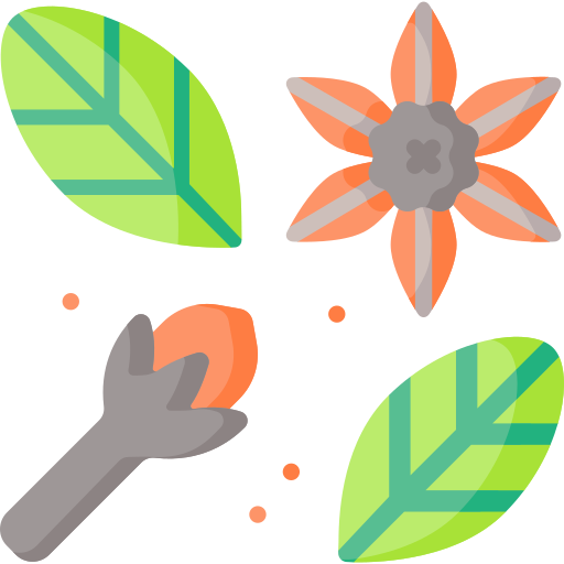 Dry Fruits